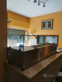 Vetrina refrigerata per pizzeria