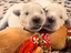 Immagine 3