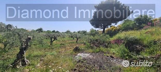 Terreno agricolo 3.200mq zona doc a castiglione - Vista 4