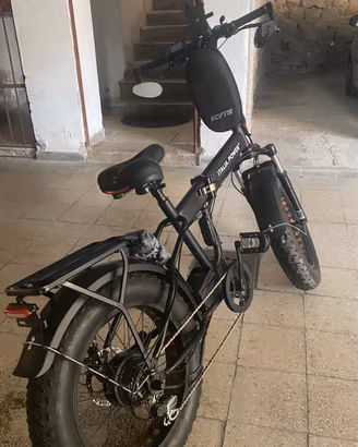 Bici elettrica