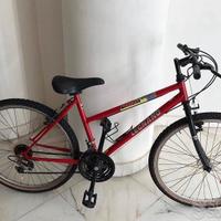 Bicicletta Legnano Trophy