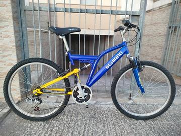 MTB Schiano - ruote 24