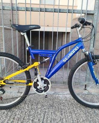 MTB Schiano - ruote 24