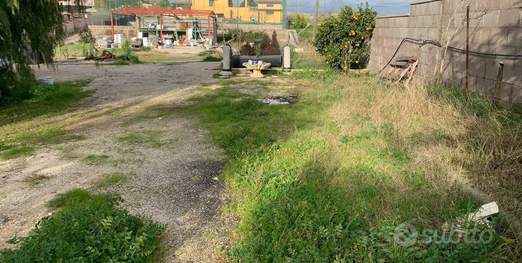 Immobile in asta di 1643 m² a Nettuno - Vista 4
