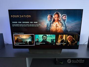 LG OLED 55B5  55 pollici