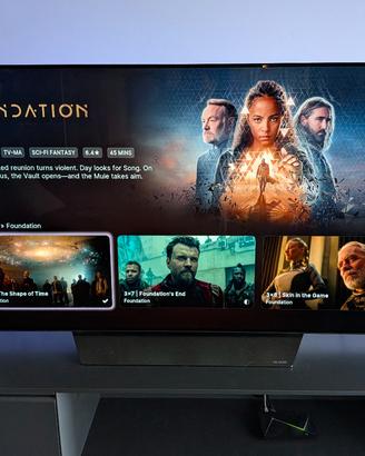 LG OLED 55B5  55 pollici