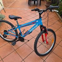 Bici Rollmar Climb Mtb