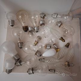 n. 24 lampadine ad incandescenza varie misure