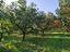 Immagine 19