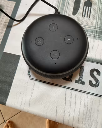 Alexa echo dot