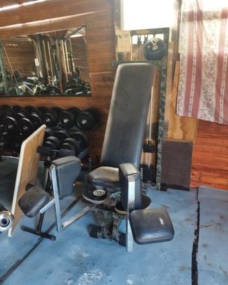 Macchina Adduttori Machine Technogym Professionale