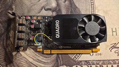 Nvidia Quadro p1000 4gb scheda video GPU