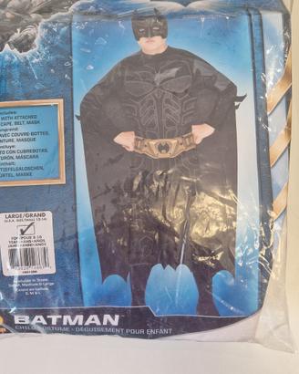 costumi da carnevale 