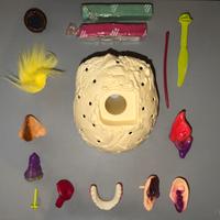 Doctor Skifilt (pezzi vari)