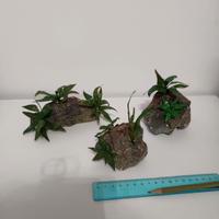 Set 3 rocce mediterranee con agave – Miniature art