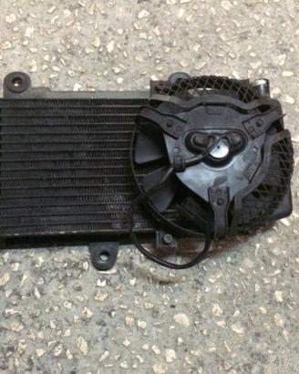 Radiatore Yamaha Tenerè