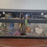 ACQUARIO DA 100 LITRI