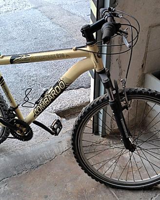 Mountain bike