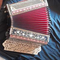 Fisarmonica cantulia