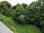 Immagine 26