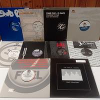 LOTTO 20 MIX 12" HOUSE