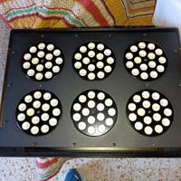 grow box tutto spero sconto 100euro