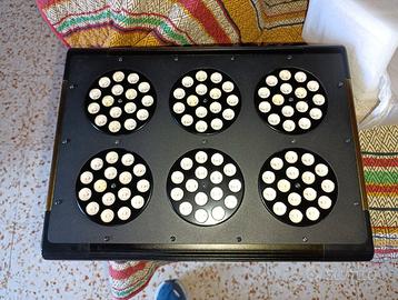 grow box tutto spero sconto 100euro