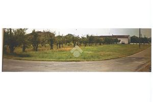 TER. AGRICOLO A BRESCELLO