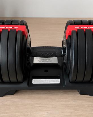 Manubrio regolabile 24 kg