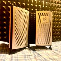 Insonorizzazione microfono professionale