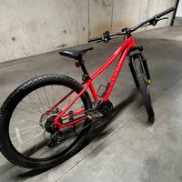 Mtb Specialized