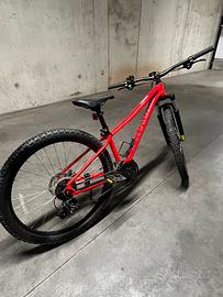 Mtb Specialized