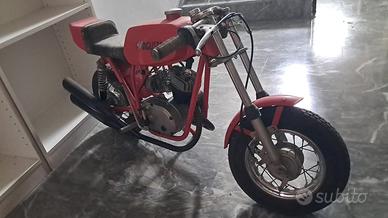 MV Agusta Mini Bike 50cc Anni '70