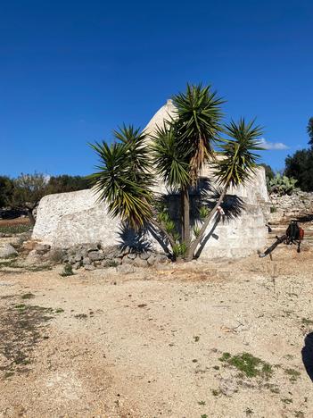 Trulli rustici 13.000 m2