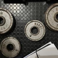 Pesi dischi ghisa olimpionici Strenght Shop