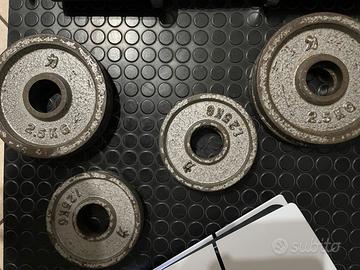 Pesi dischi ghisa olimpionici Strenght Shop