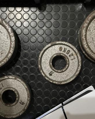 Pesi dischi ghisa olimpionici Strenght Shop