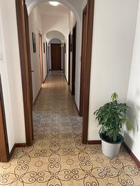 Stanze per studio professionale/ ufficio