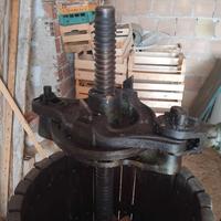 Torchio per uva