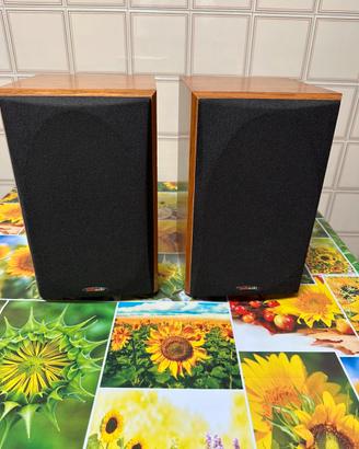 Polk Audio RTi 28