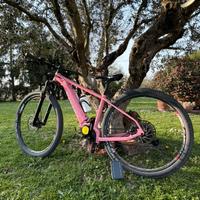 Biciclette elettriche