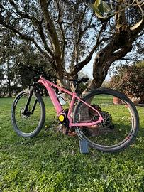 Biciclette elettriche