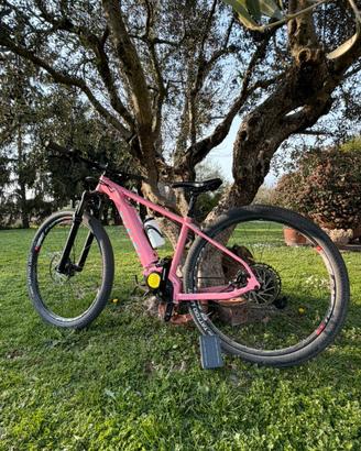 Biciclette elettriche