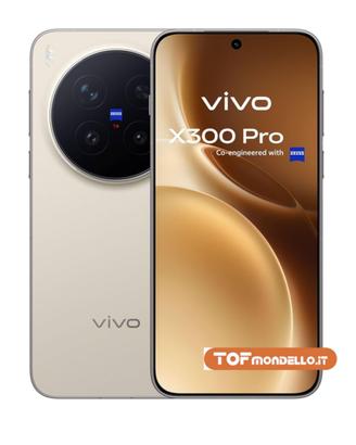 Vivo X300 Pro (16-512)