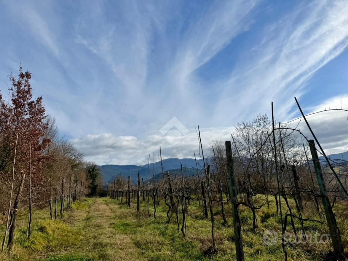 TER. AGRICOLO A CASPERIA - Vista 3