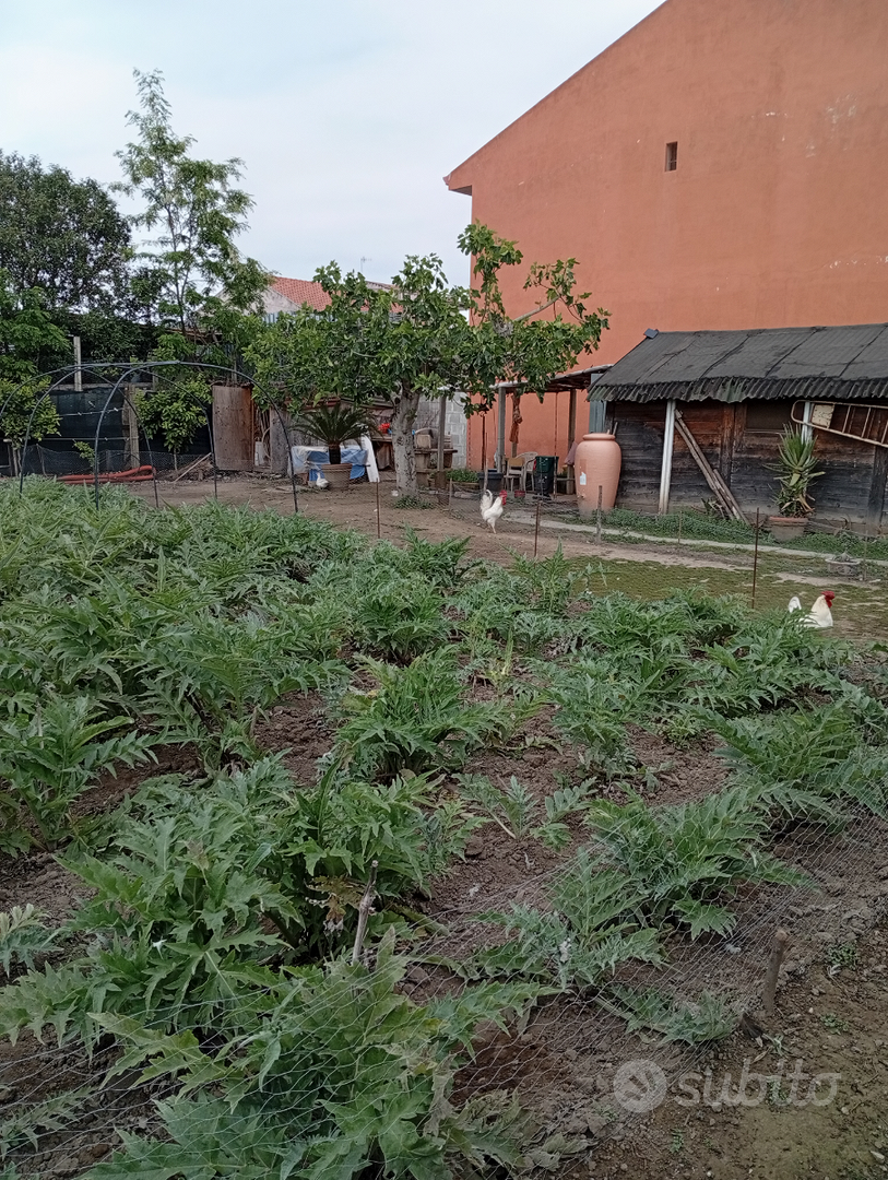 Terreno edificabile - Altro