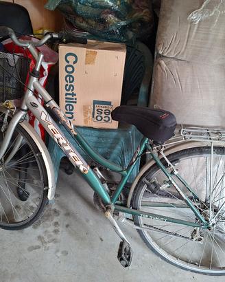 bicicletta donna 