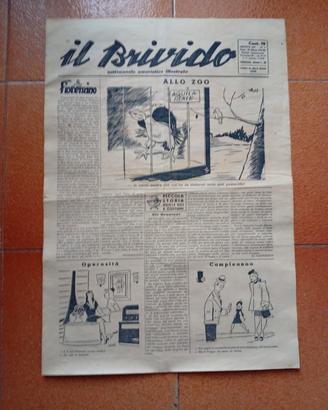 il brivido del febbraio 1944