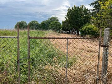 Terreno residenziale