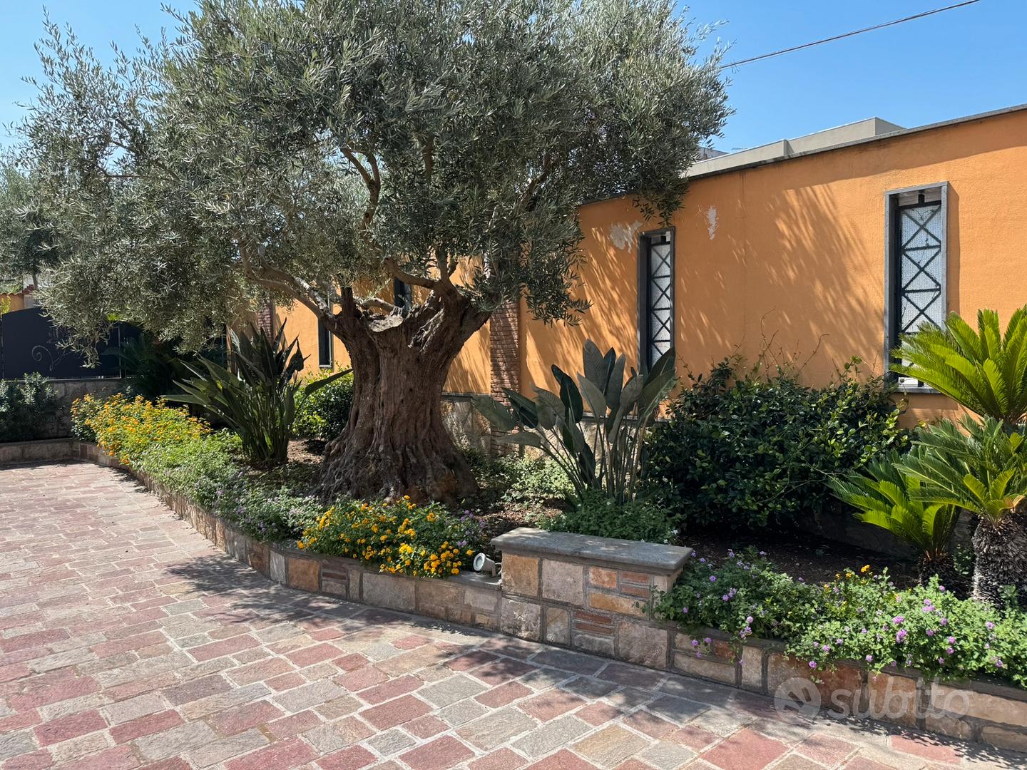 Casa - Vista 5